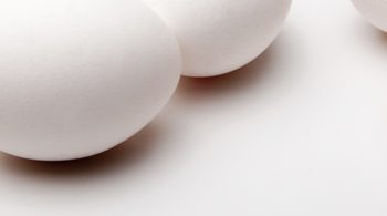 Fipronil Egg Crisis